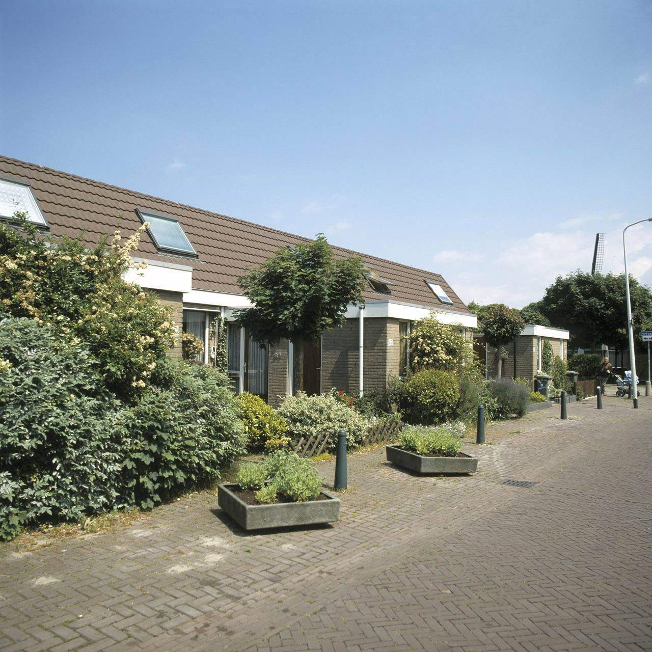 Afbeelding 36 van 36