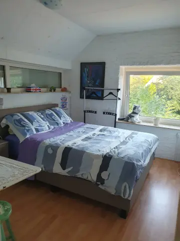 Furnished Room Bremlaan, Heerhugowaard - For Rent