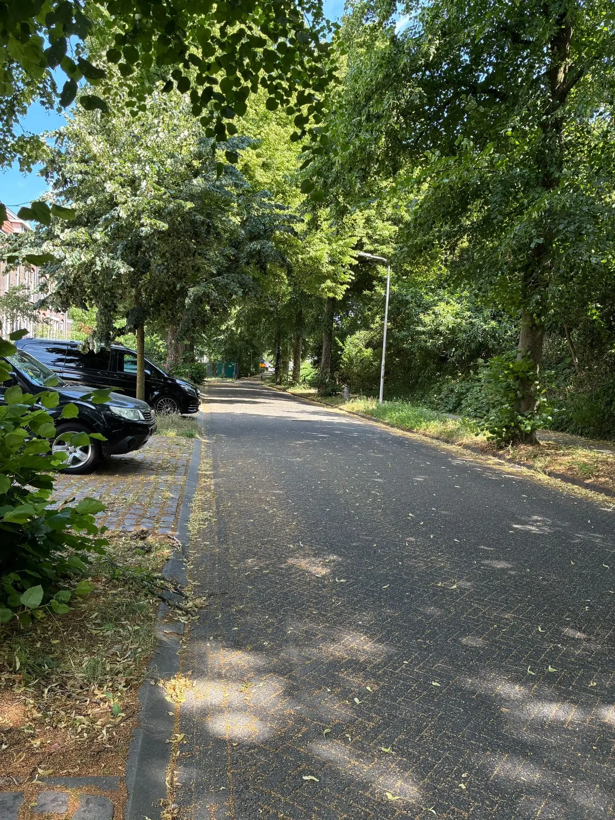 Image 5 of 9