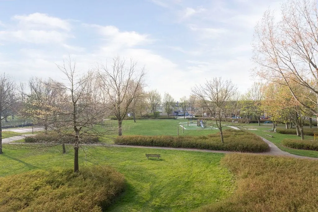 Image 19 of 22