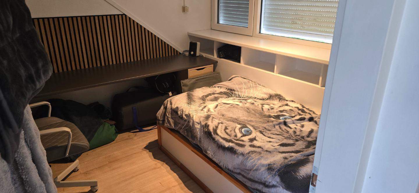 Bild 3 von 3
