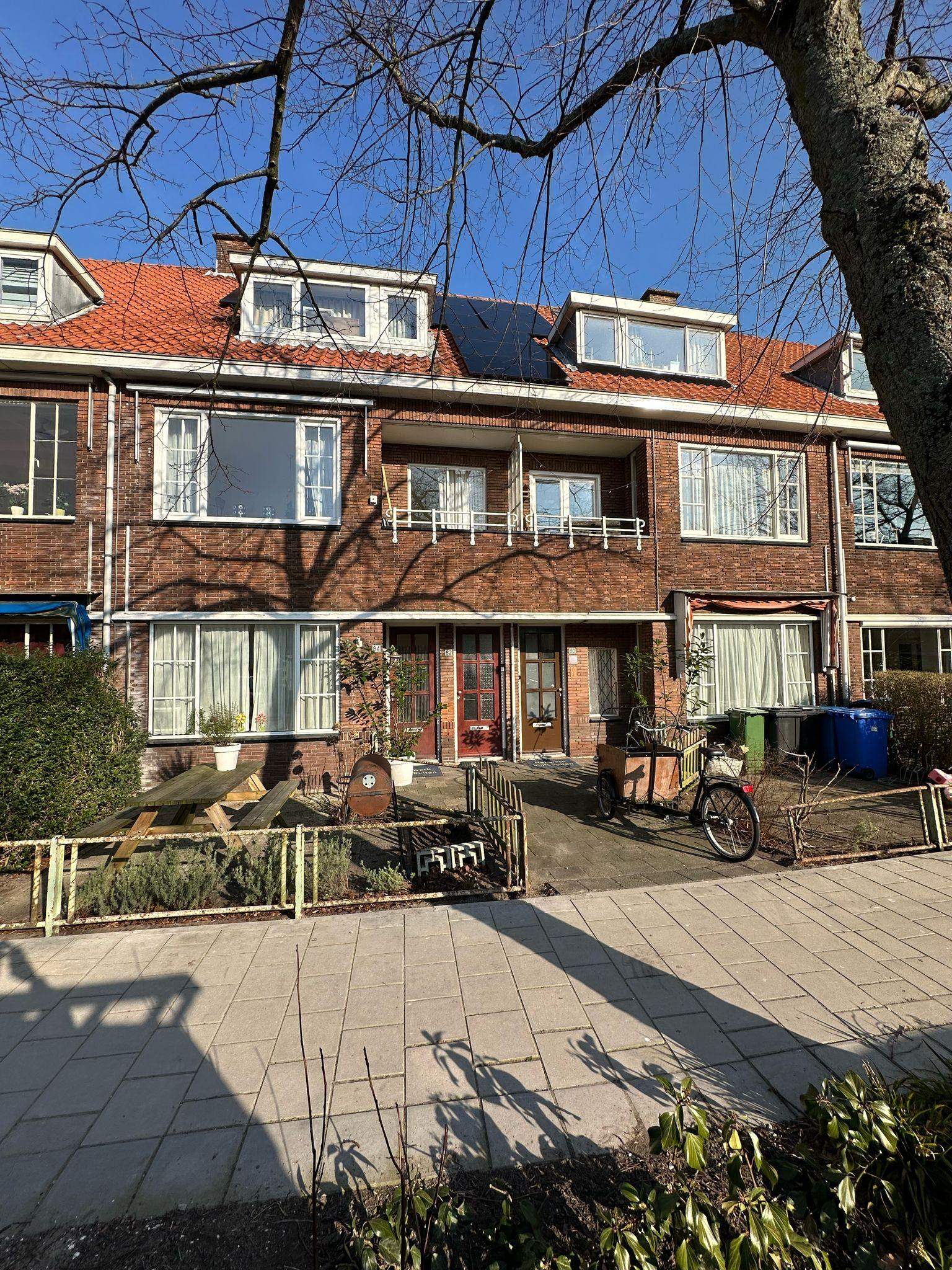 Afbeelding 10 van 10