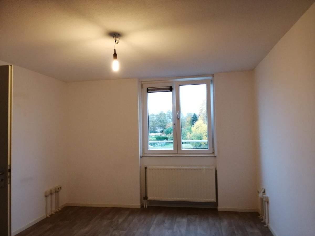 Bild 3 von 10