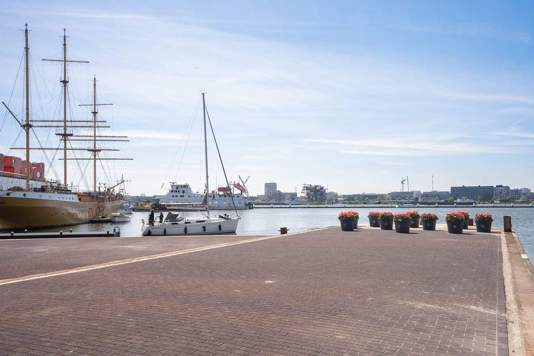 Afbeelding 23 van 26