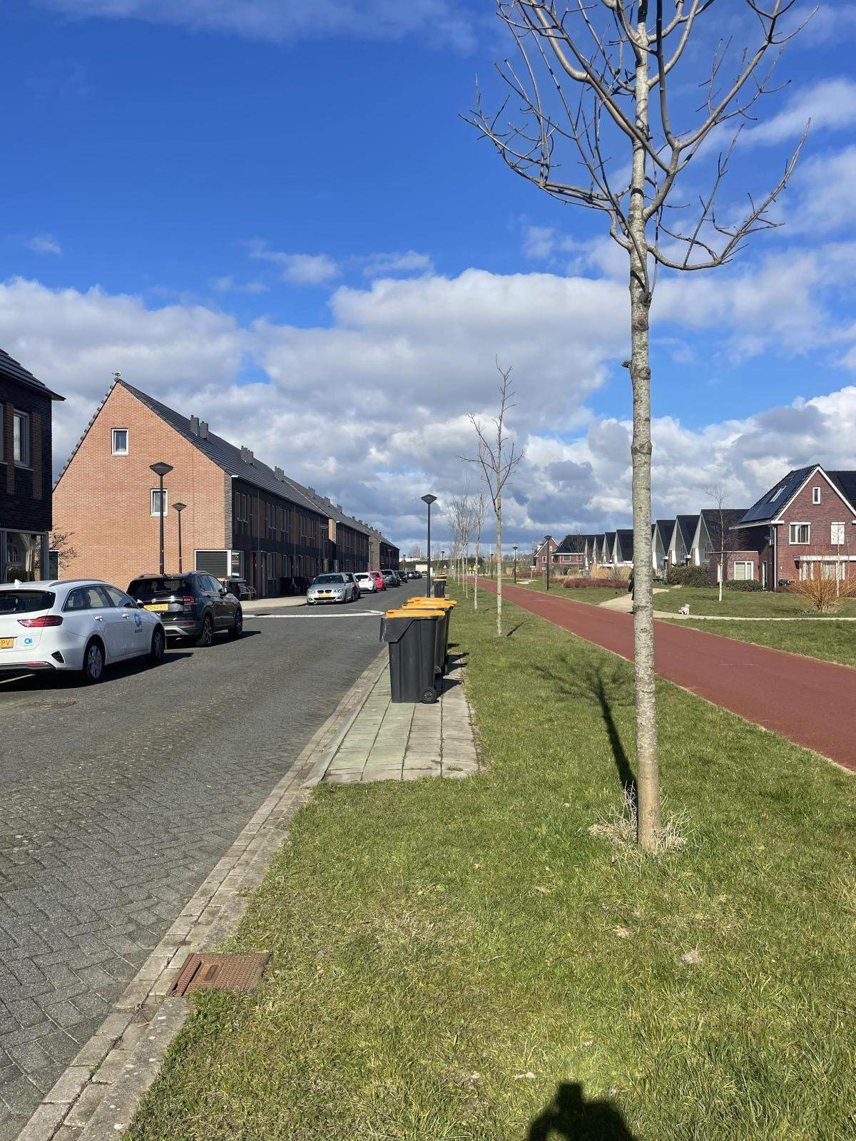 Afbeelding 2 van 14