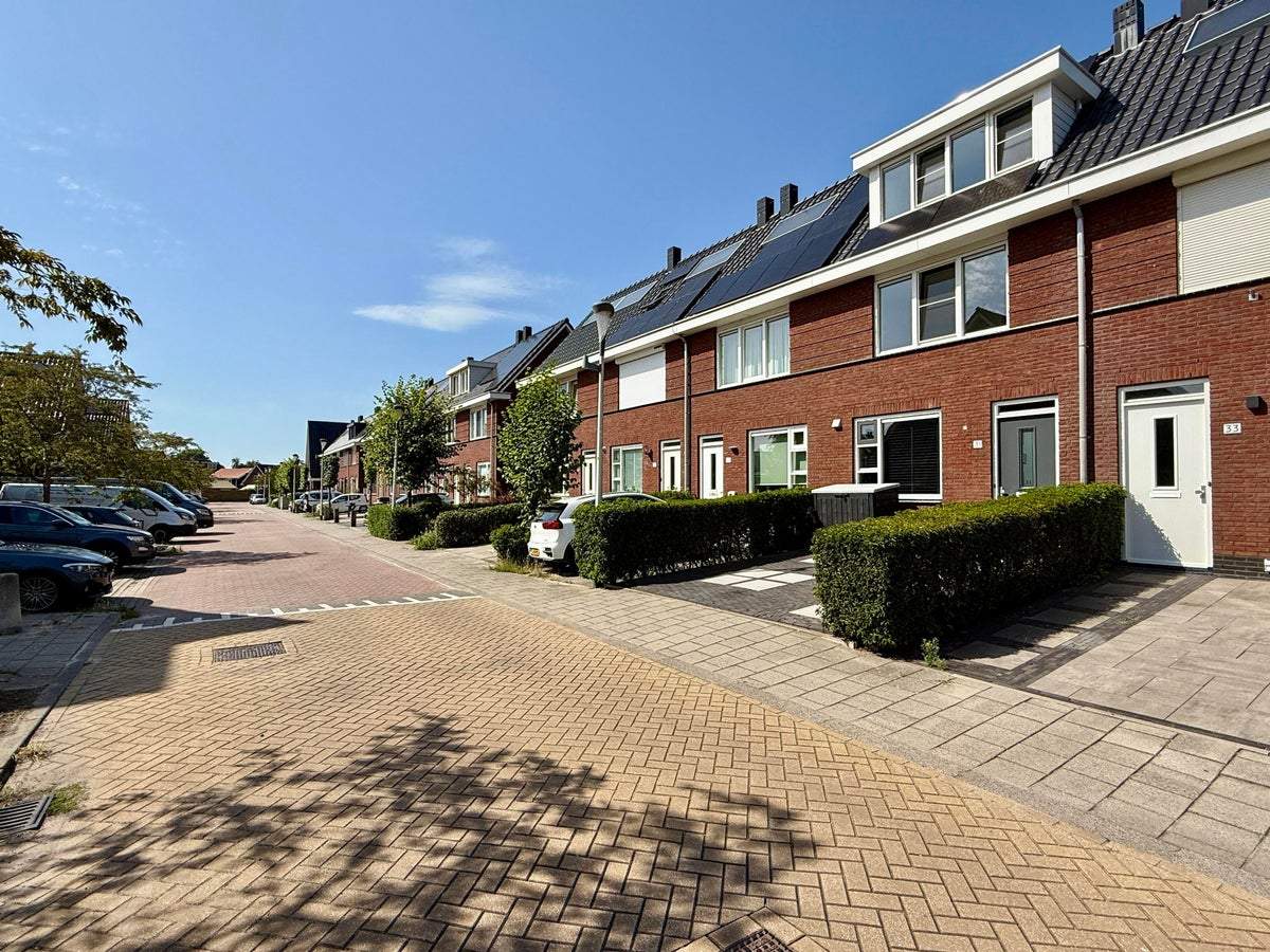 Afbeelding 1 van 13
