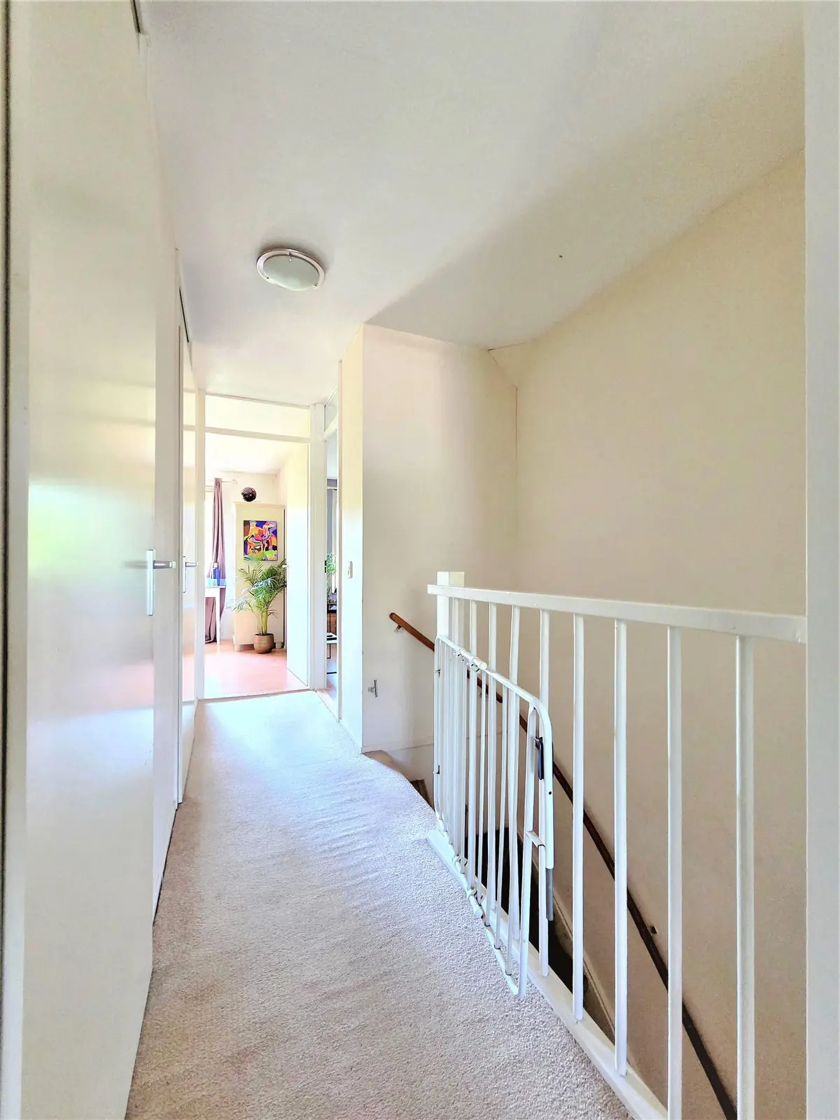 Image 20 of 37
