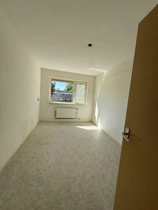 Image 4 of 9