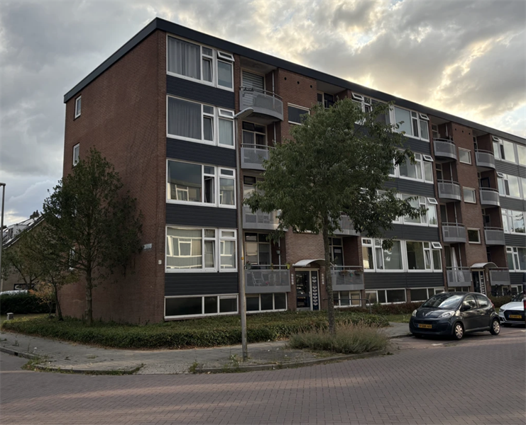 Image 8 of 8