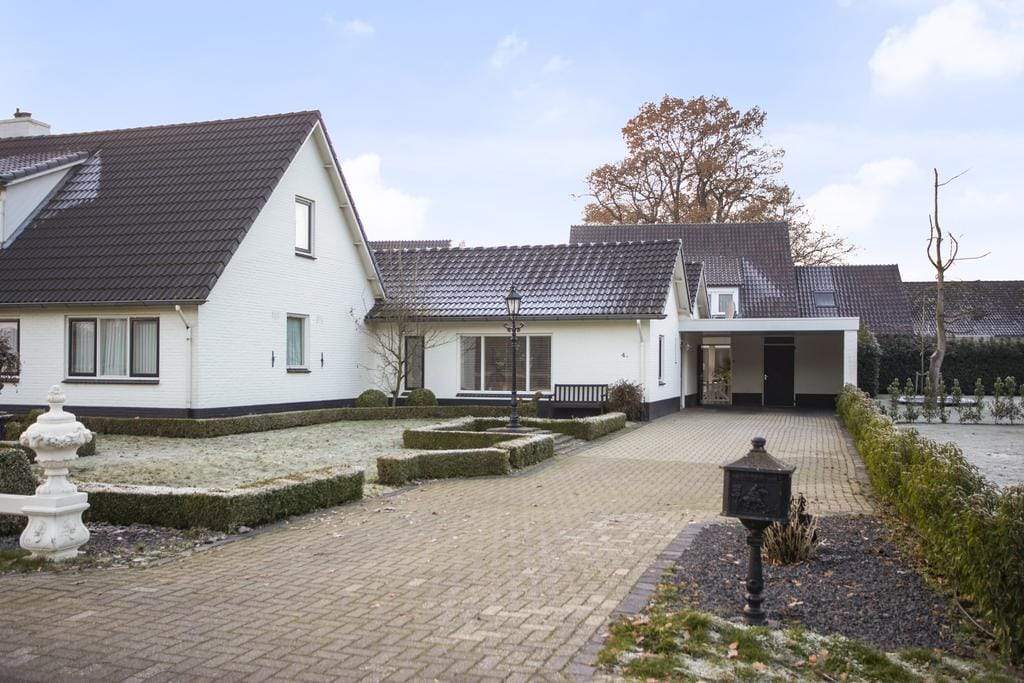 Afbeelding 1 van 12
