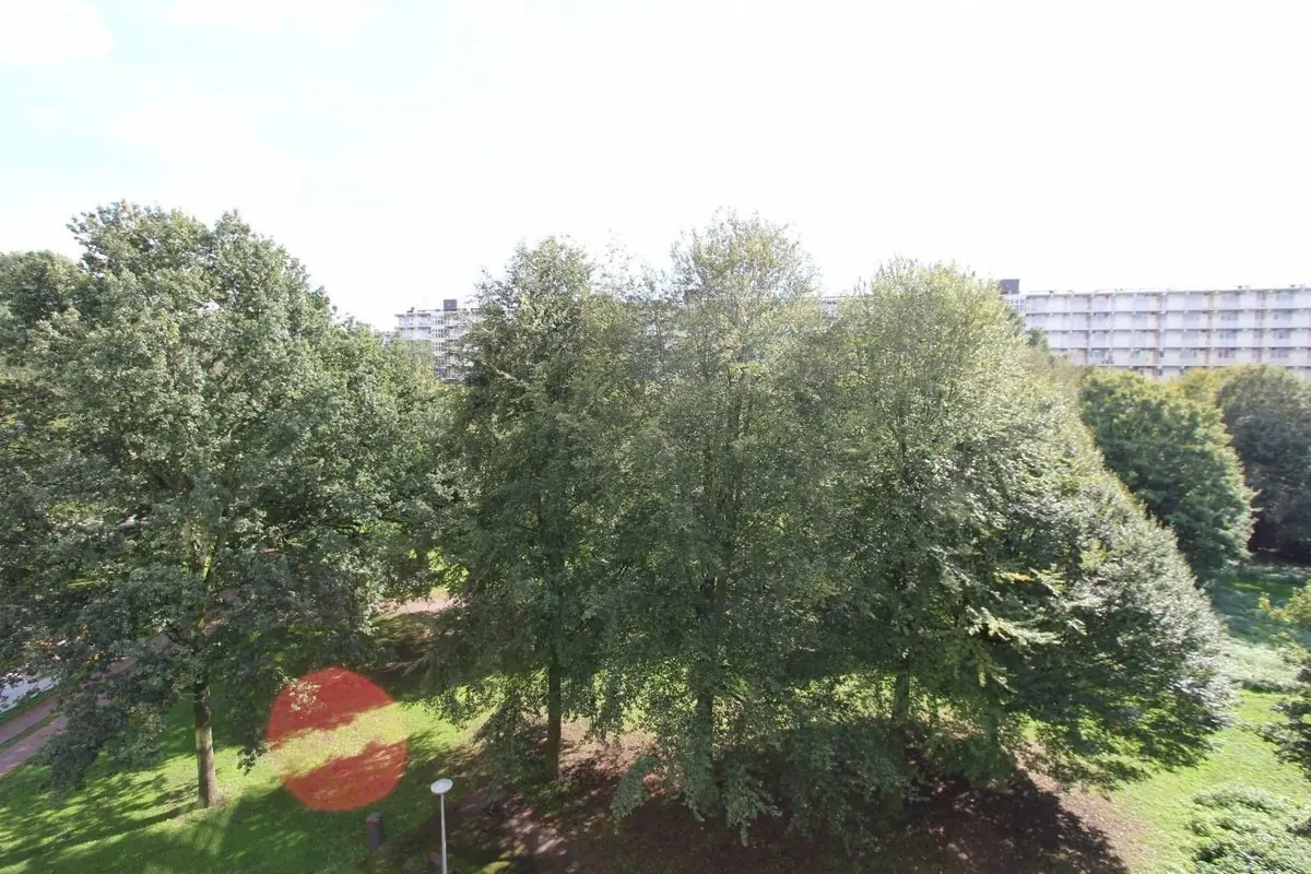 Bild 18 von 18