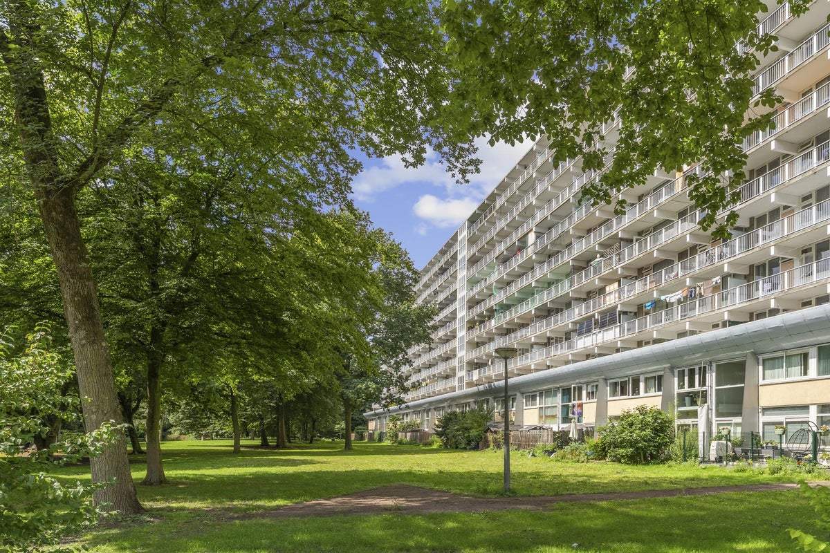 Afbeelding 1 van 21