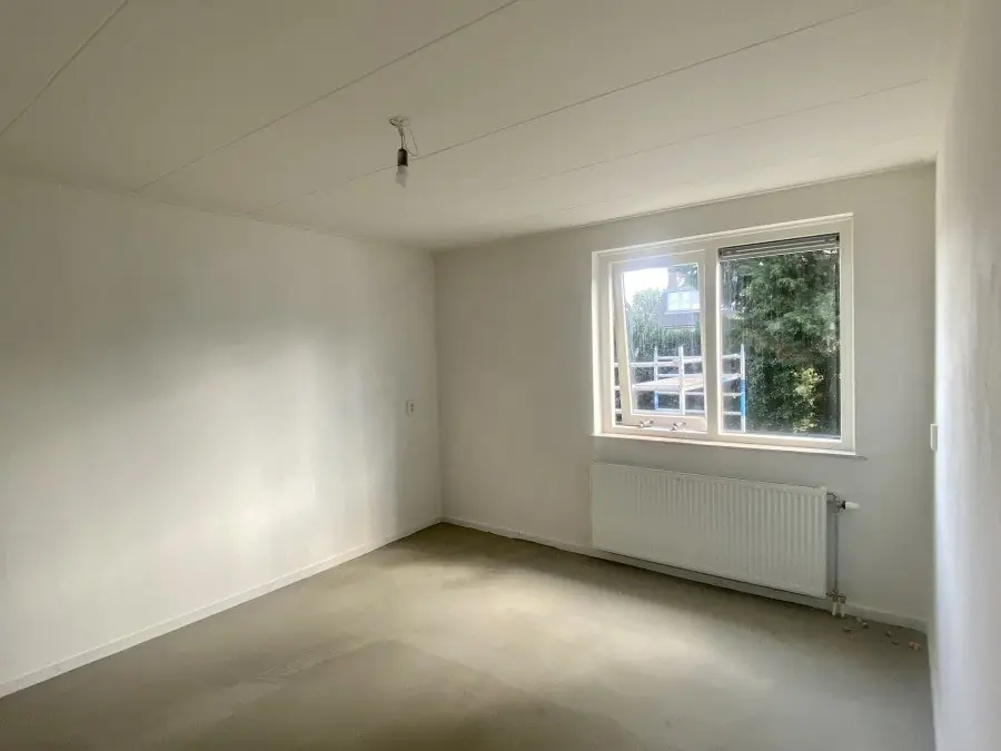 Image 7 of 15