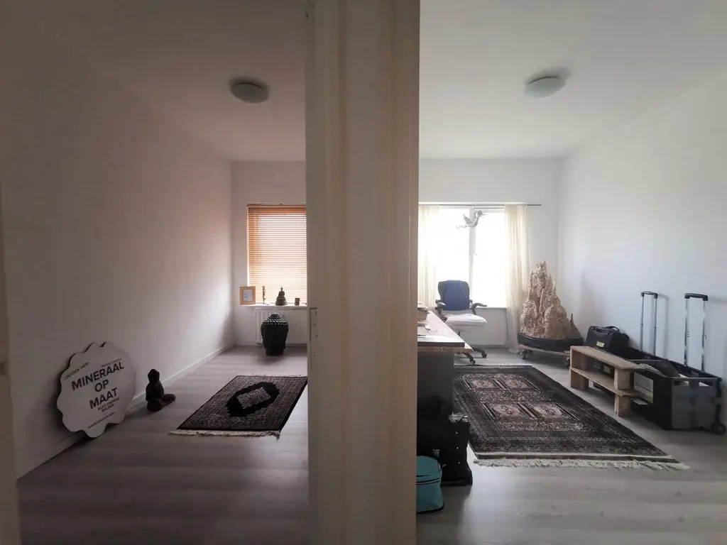 Bild 6 von 12