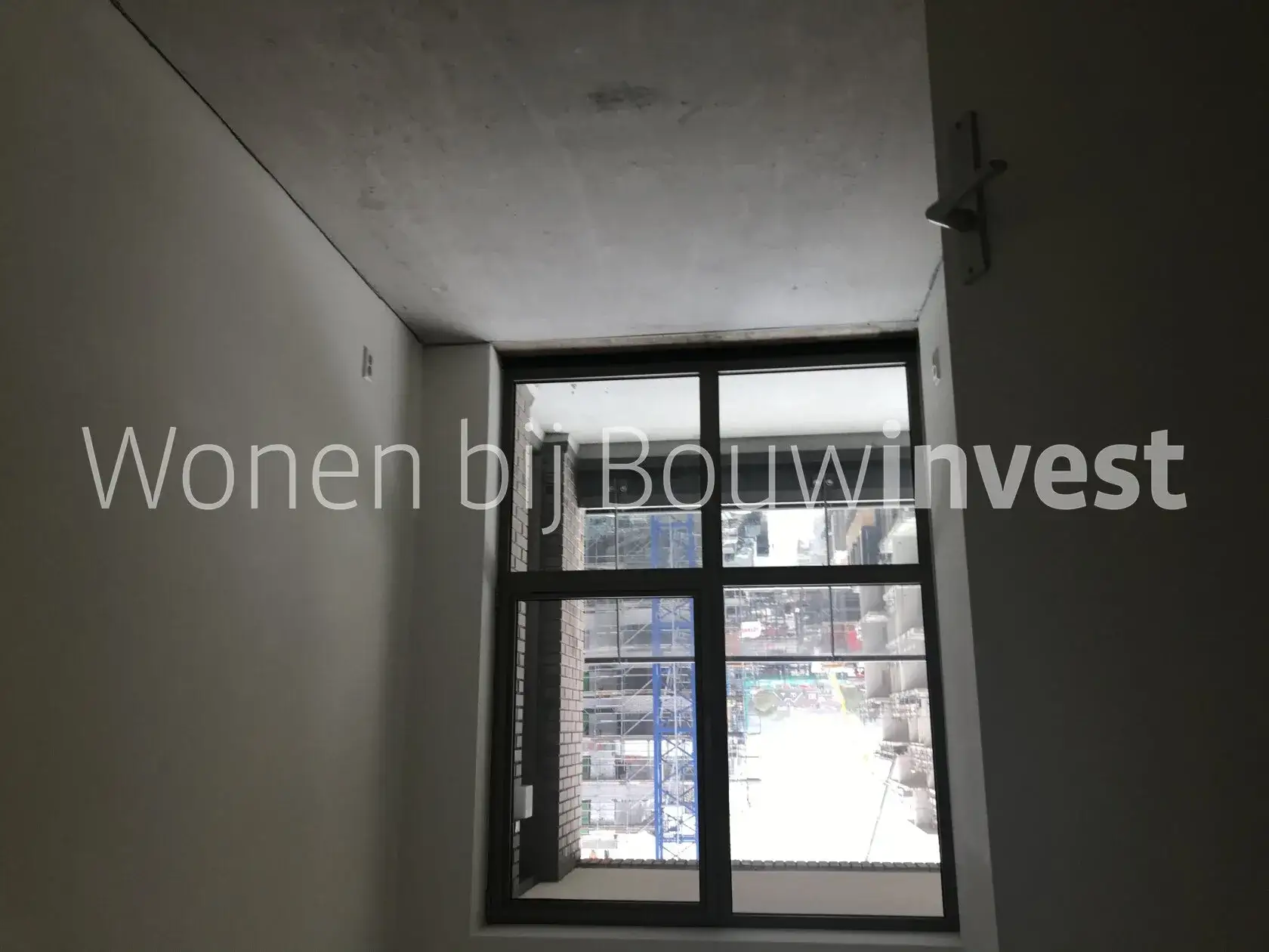 Image 7 of 10
