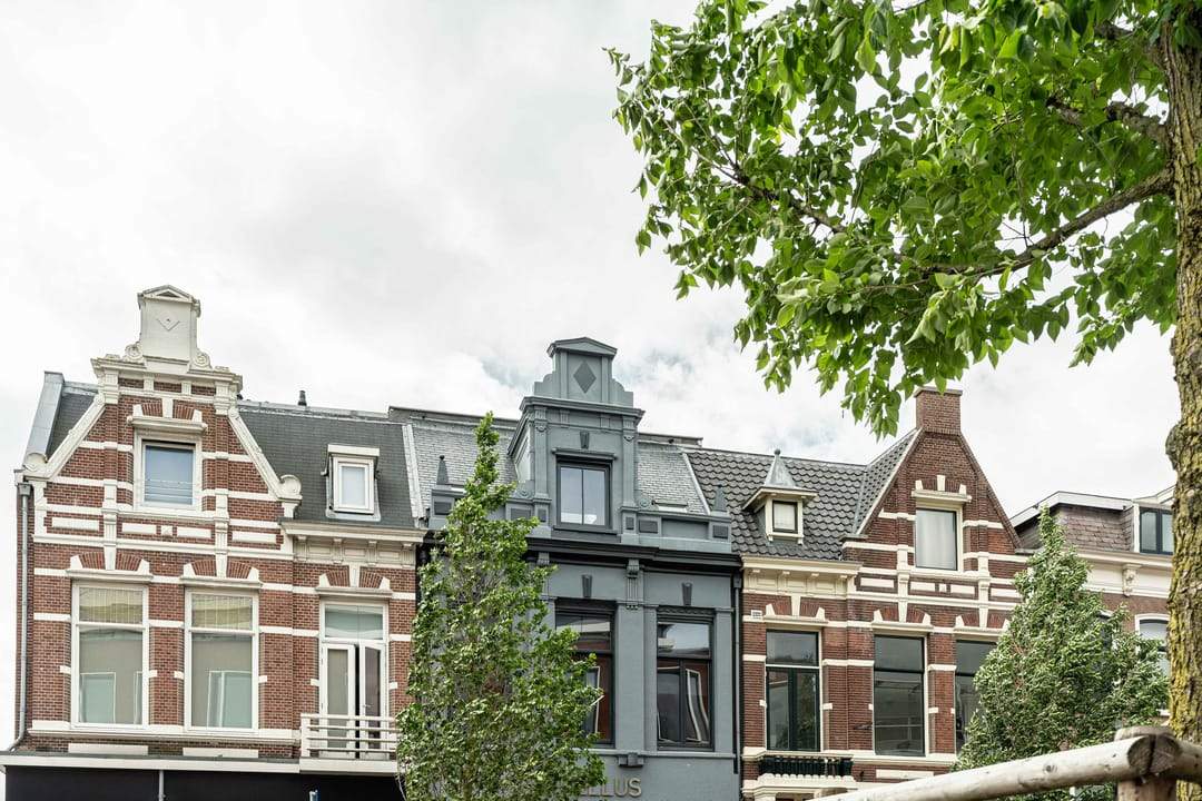 Afbeelding 2 van 42