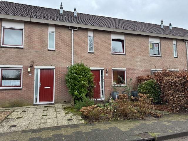 Afbeelding 1 van 11