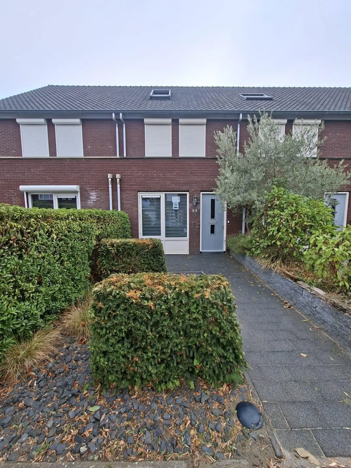 Afbeelding 1 van 13