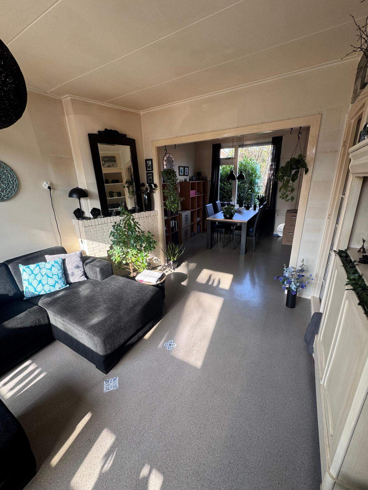 Imagen 4 de 9