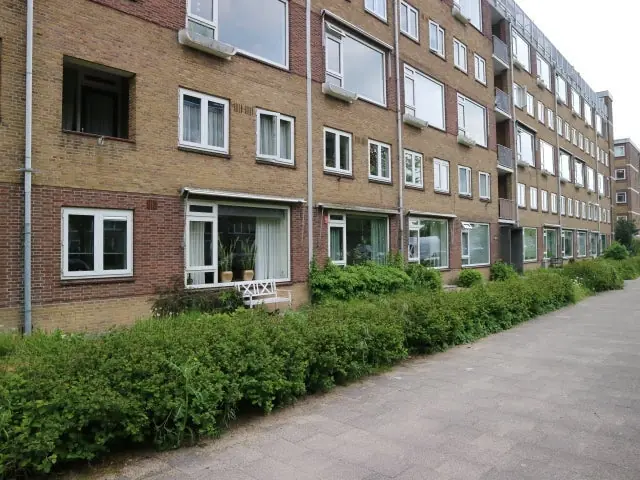 Image 24 of 24