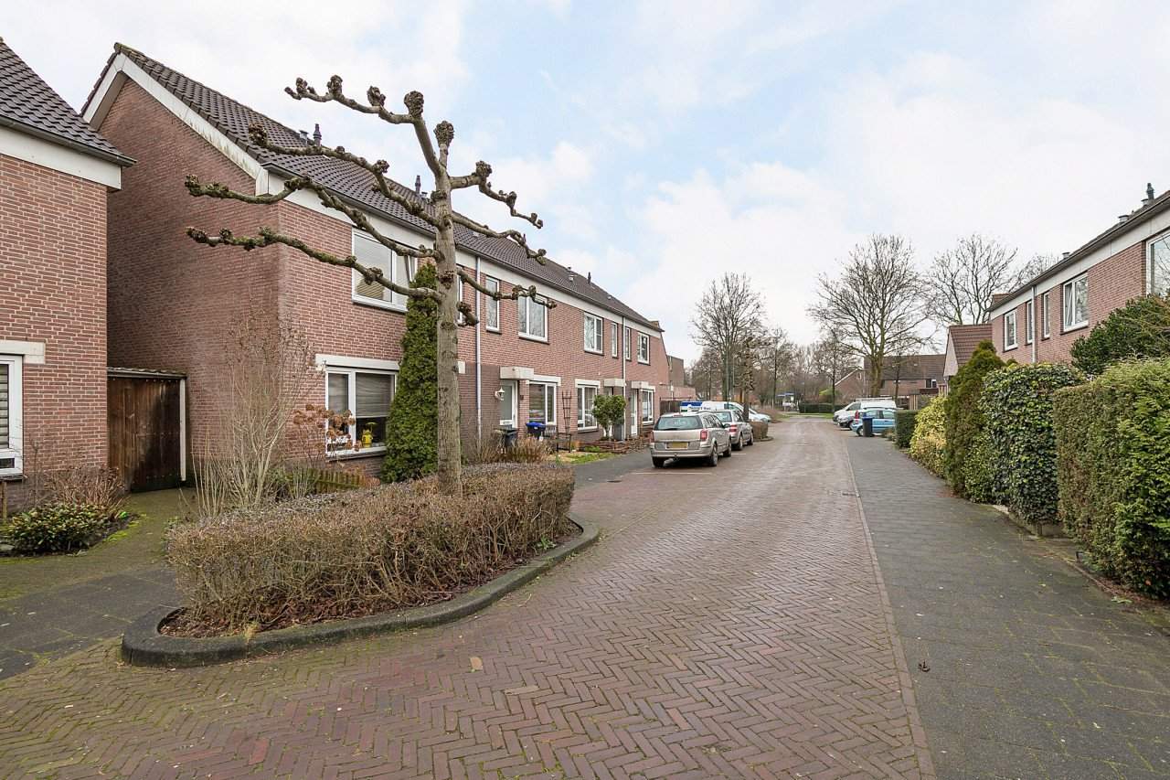 Afbeelding 3 van 13