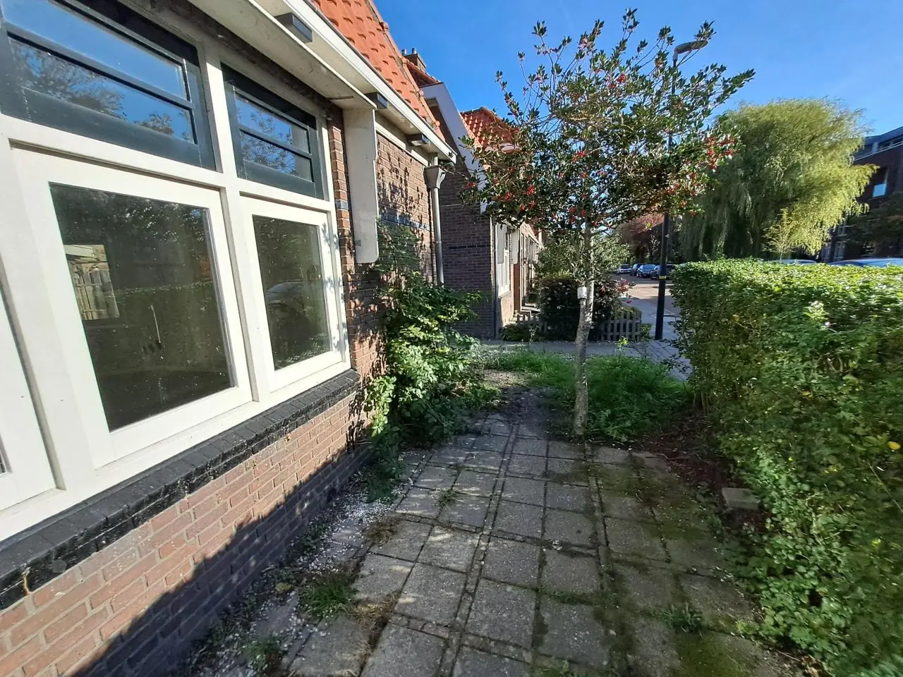 Image 4 of 15