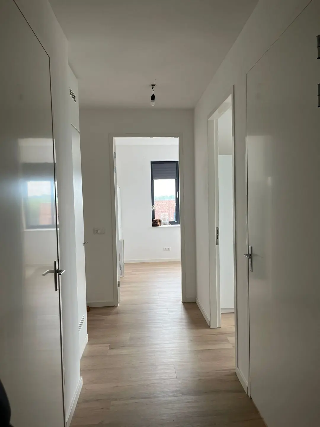 Image 2 of 6