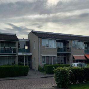 Afbeelding 5 van 5