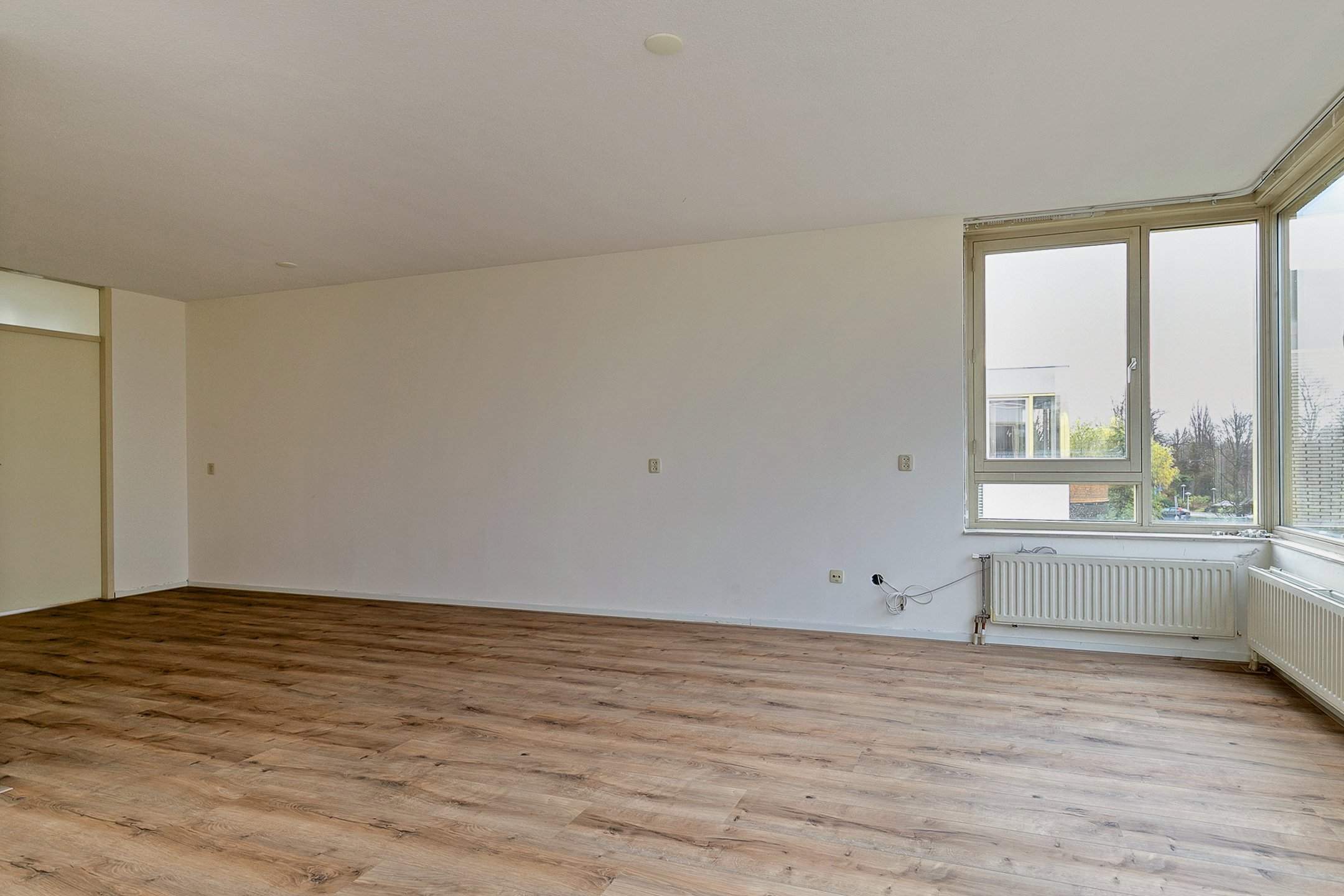 Bild 3 von 12
