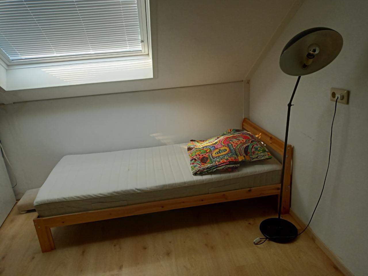 Bild 3 von 6