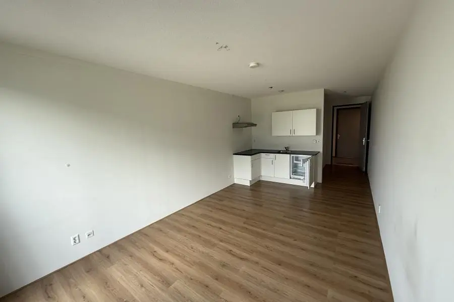 Image 8 of 20
