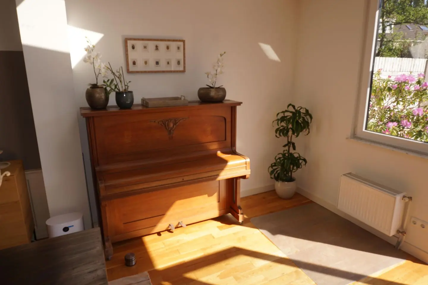 Image 19 sur 46