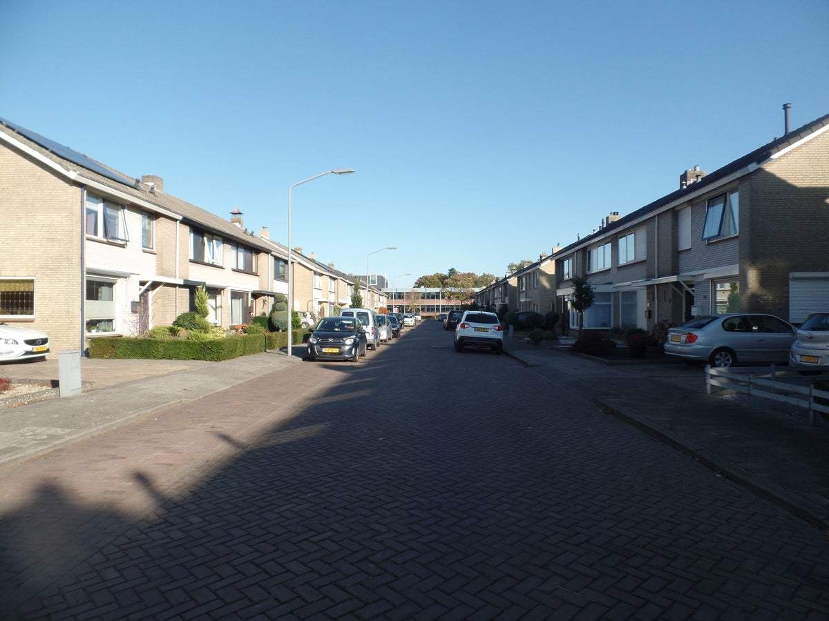 Image 24 of 25
