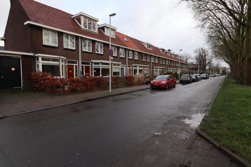 Afbeelding 3 van 34