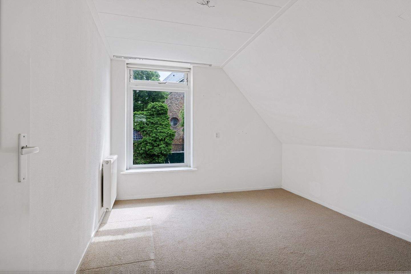 Image 10 of 20