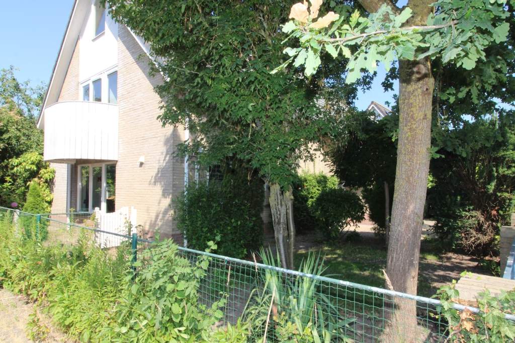 Bild 3 von 35