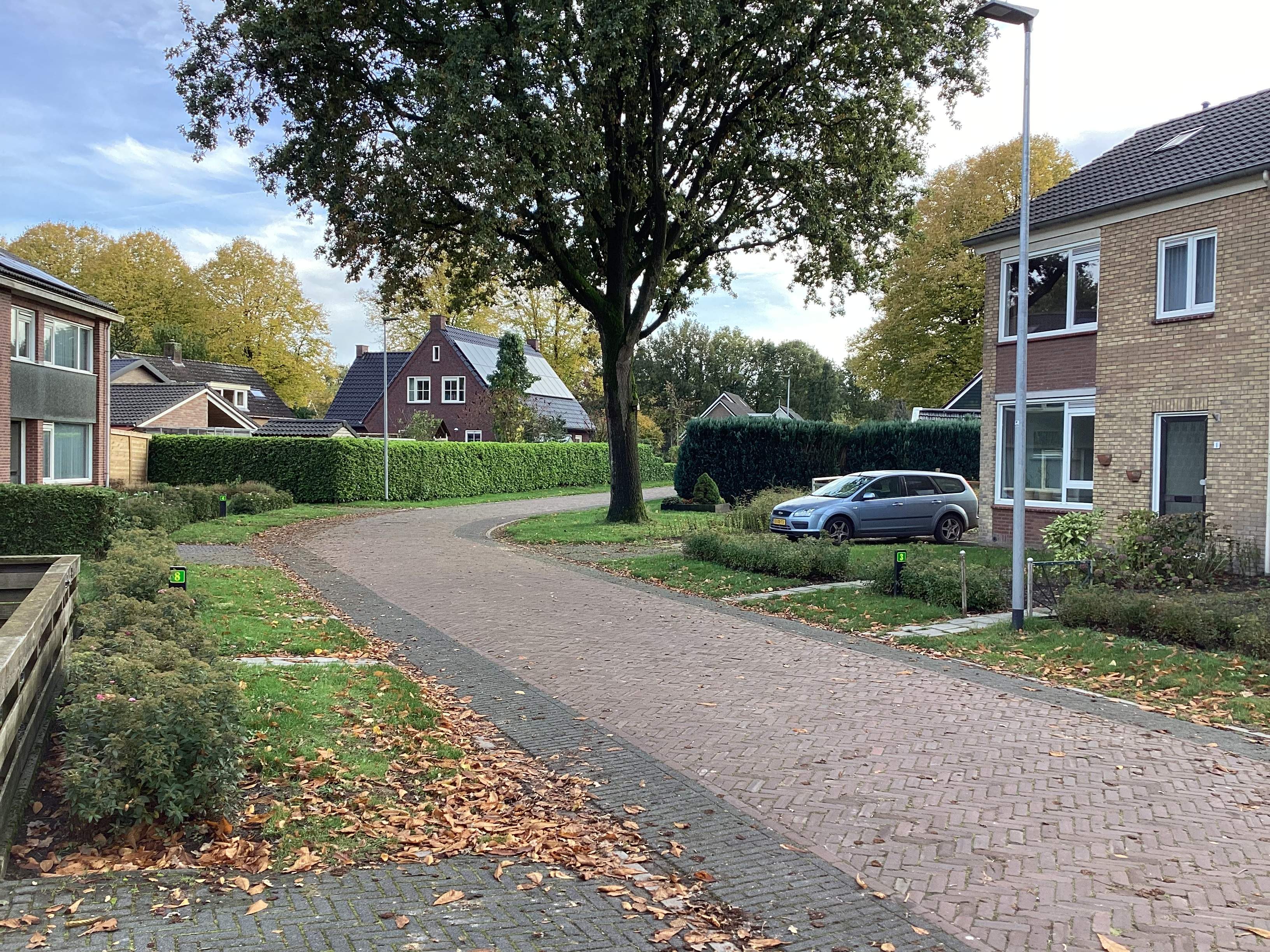 Afbeelding 3 van 3