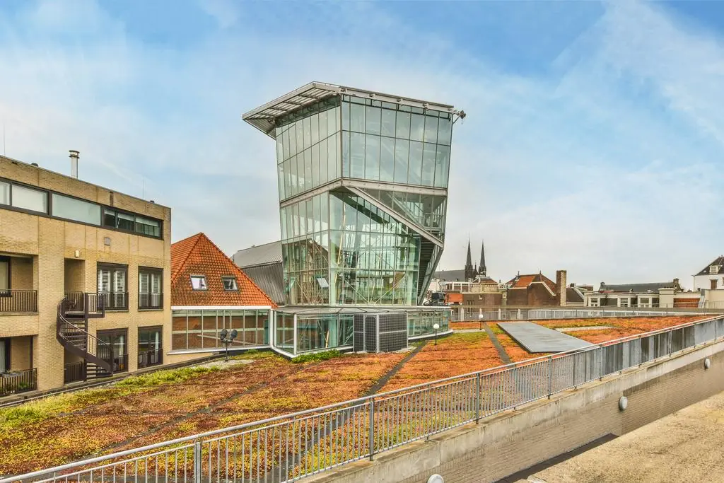 Image 19 of 25