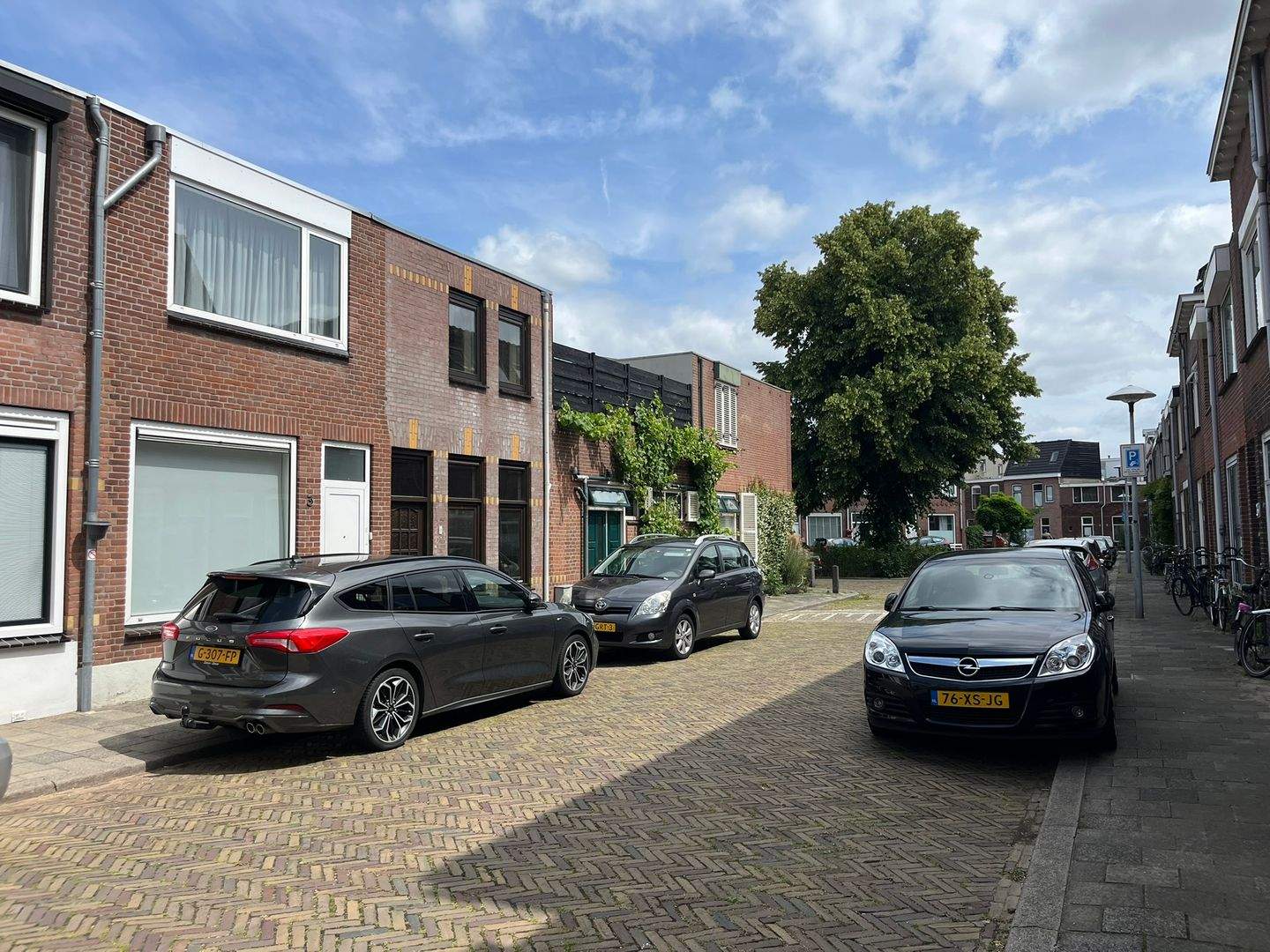 Afbeelding 1 van 12