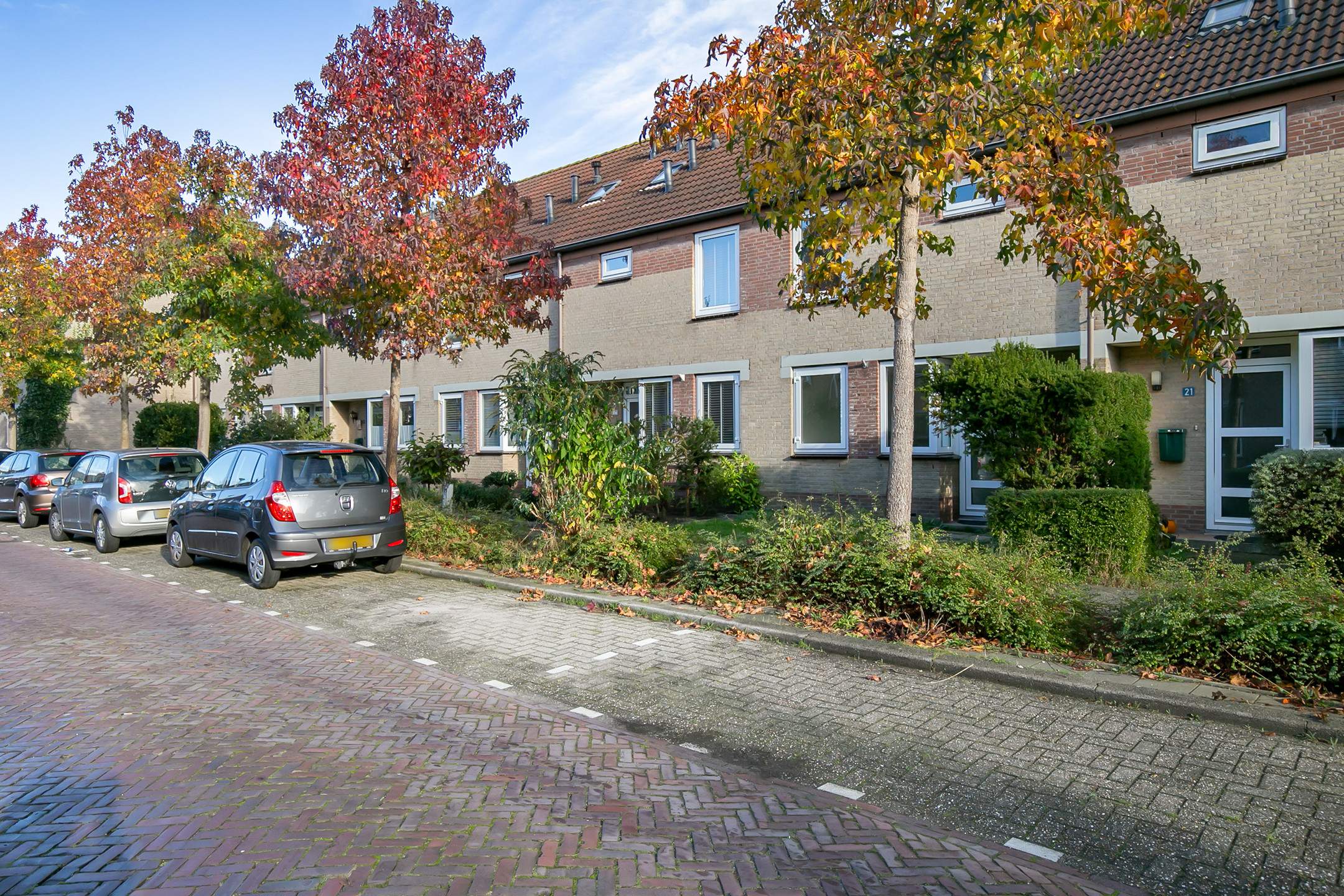 Afbeelding 3 van 34