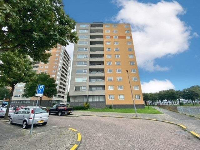 Afbeelding 1 van 21