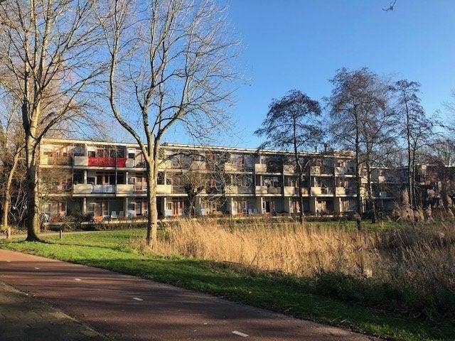 Afbeelding 1 van 10