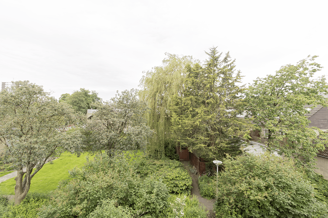 Bild 23 von 26