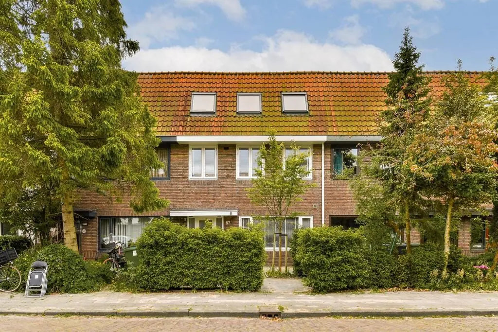 Afbeelding 2 van 15