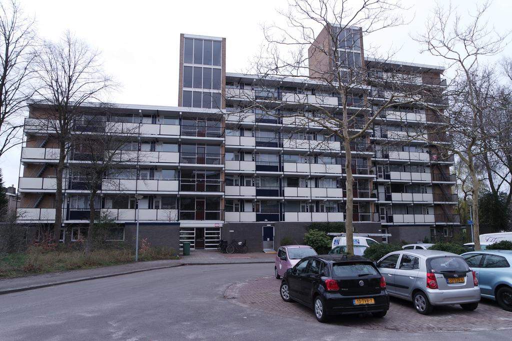 Afbeelding 1 van 12