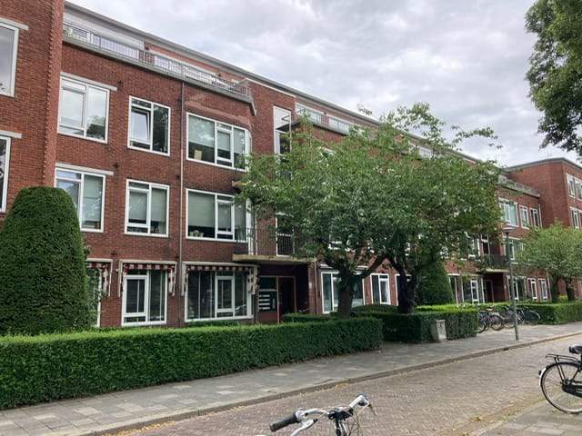 Afbeelding 1 van 11