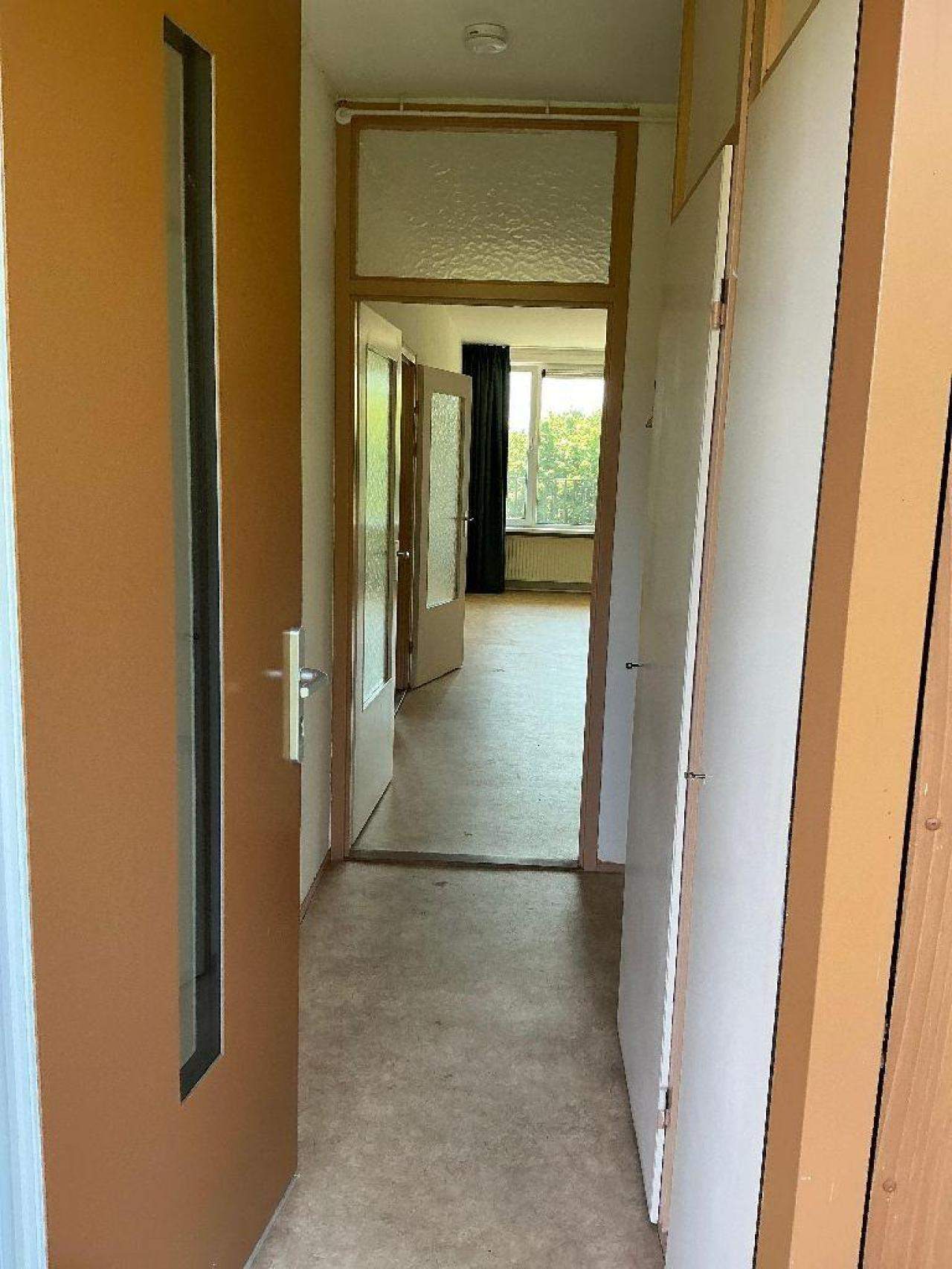 Bild 5 von 9
