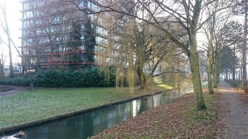 Image 15 sur 17