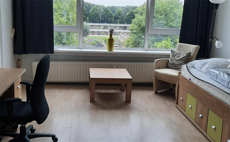 Bild 1 von 5