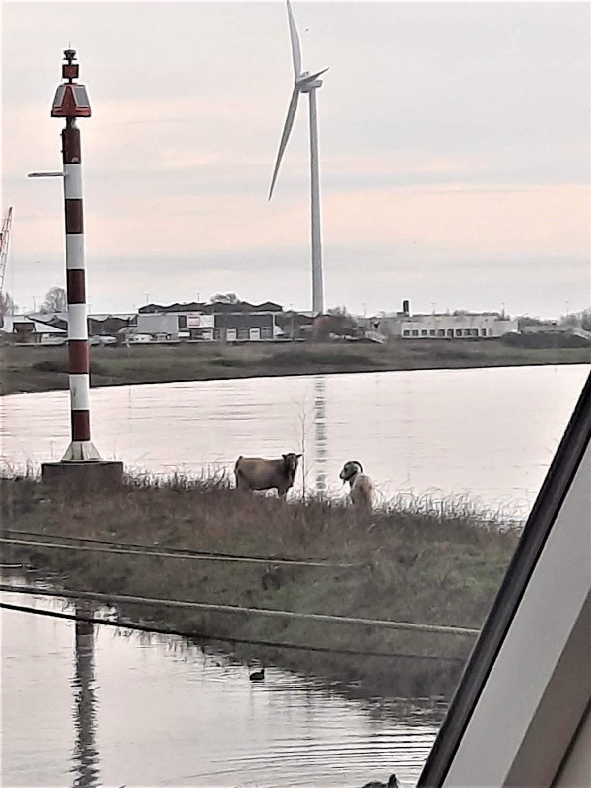 Afbeelding 1 van 28